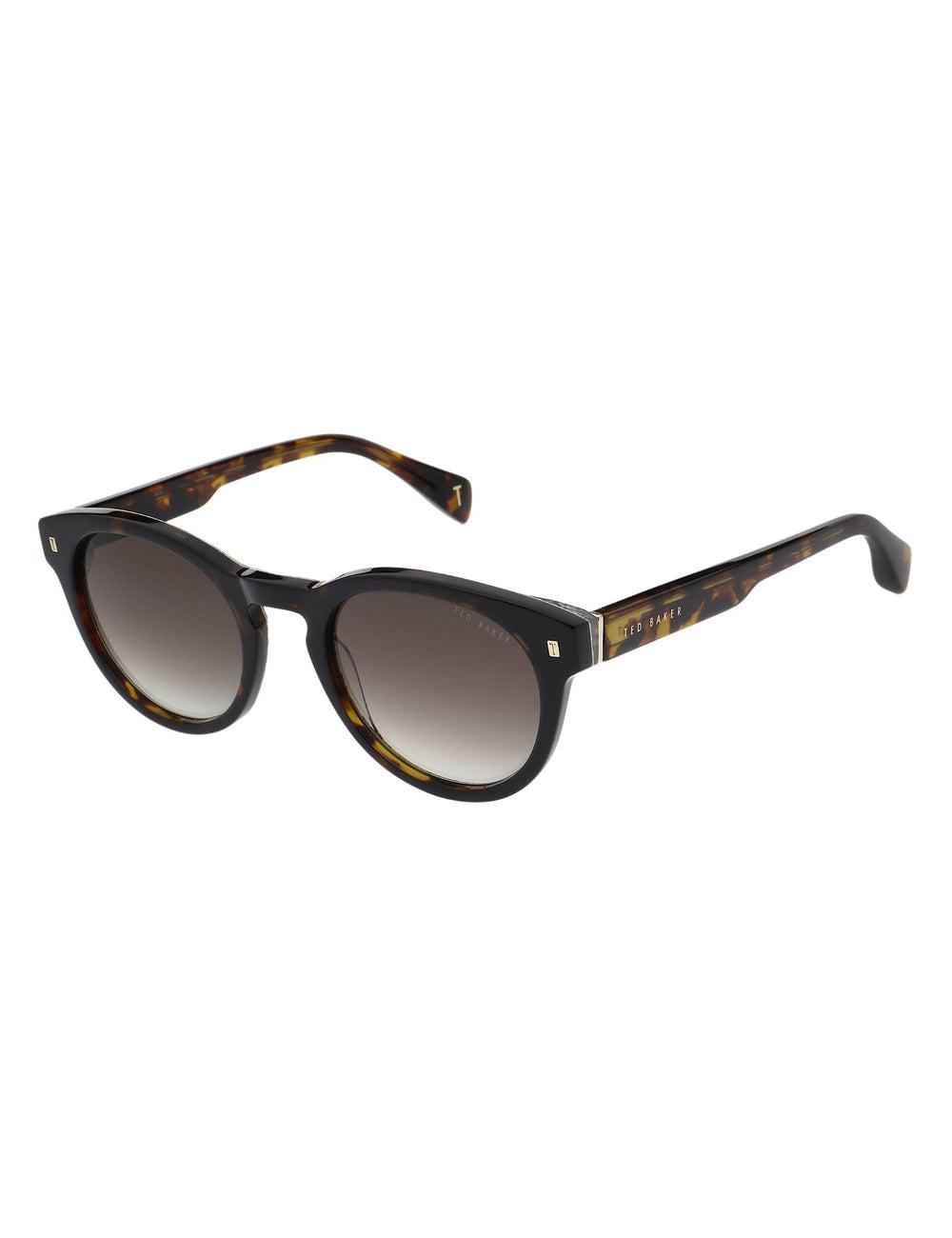 Brown Men Ted Baker DAX - Round Chunky Temple Sunglasses | SA  TAO-218579