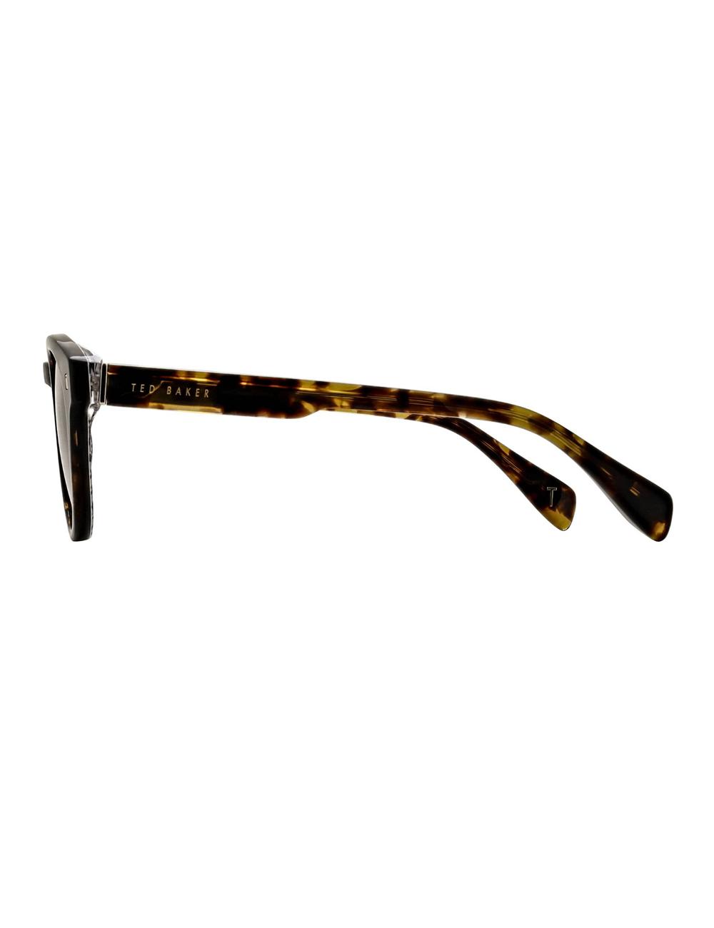 Brown Men Ted Baker DAX - Round Chunky Temple Sunglasses | SA  TAO-218579
