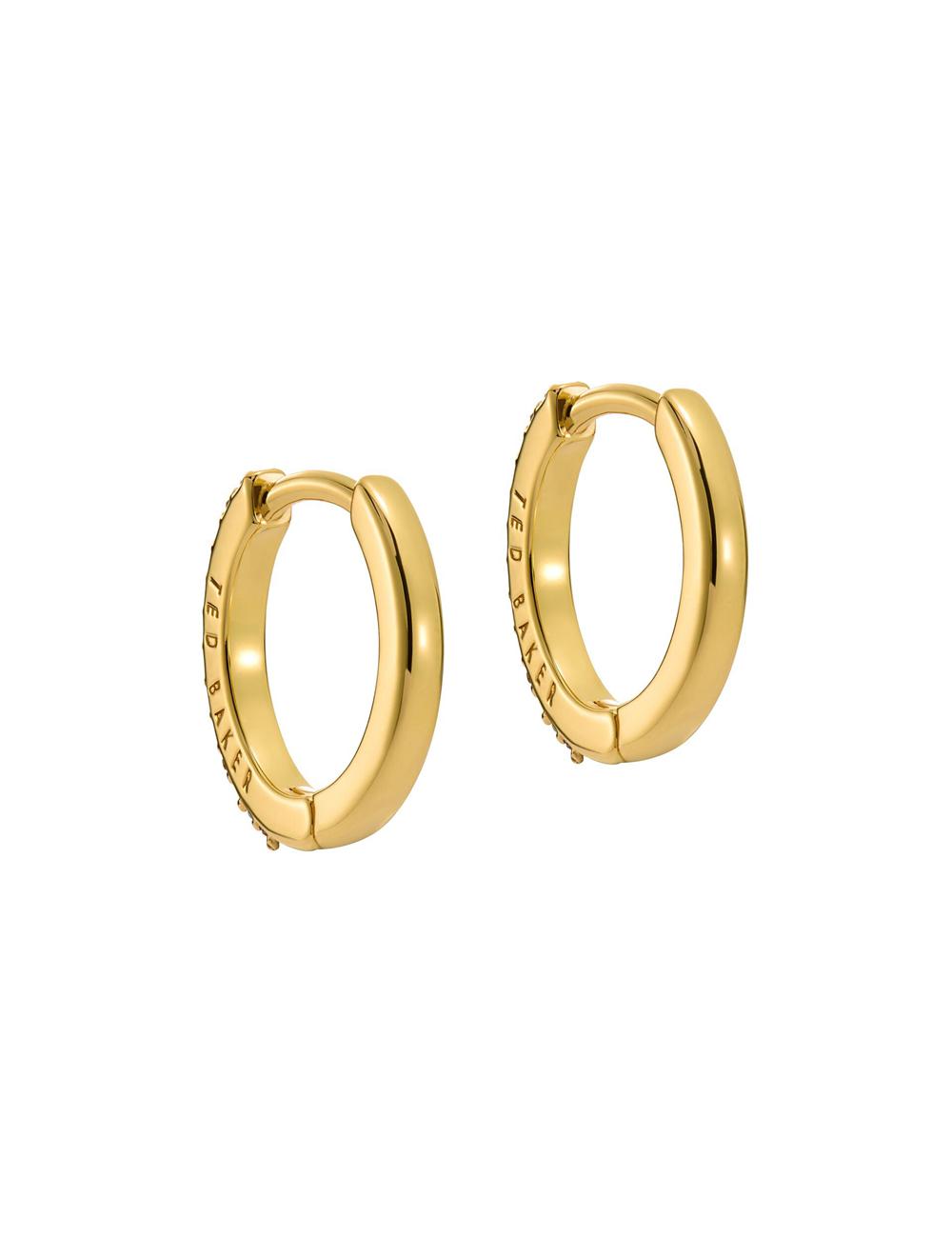 Multicol Women Ted Baker HEPLIE - Crystal Huggie Hoop Earrings | SA  EGI-027869