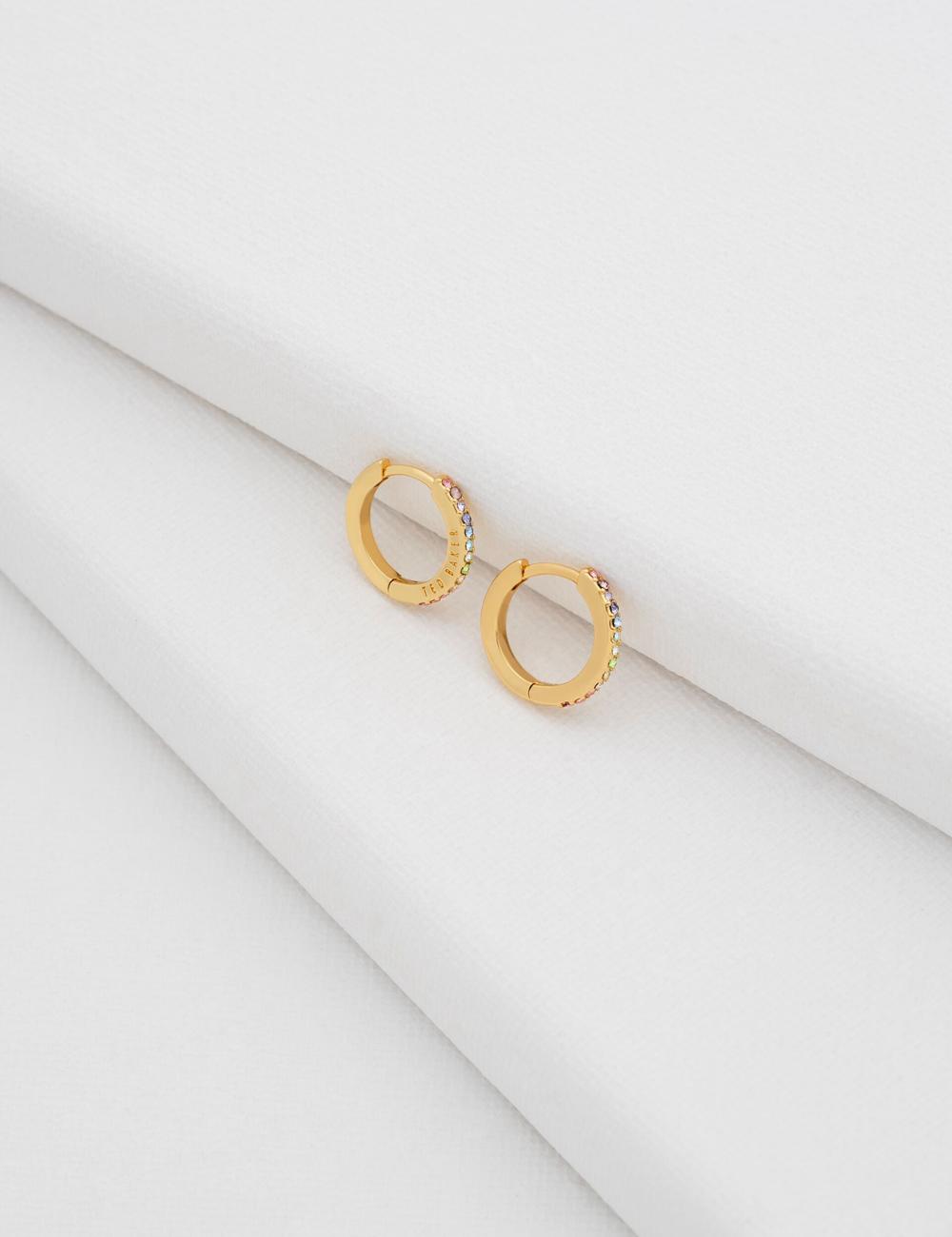 Multicol Women Ted Baker HEPLIE - Crystal Huggie Hoop Earrings | SA  EGI-027869