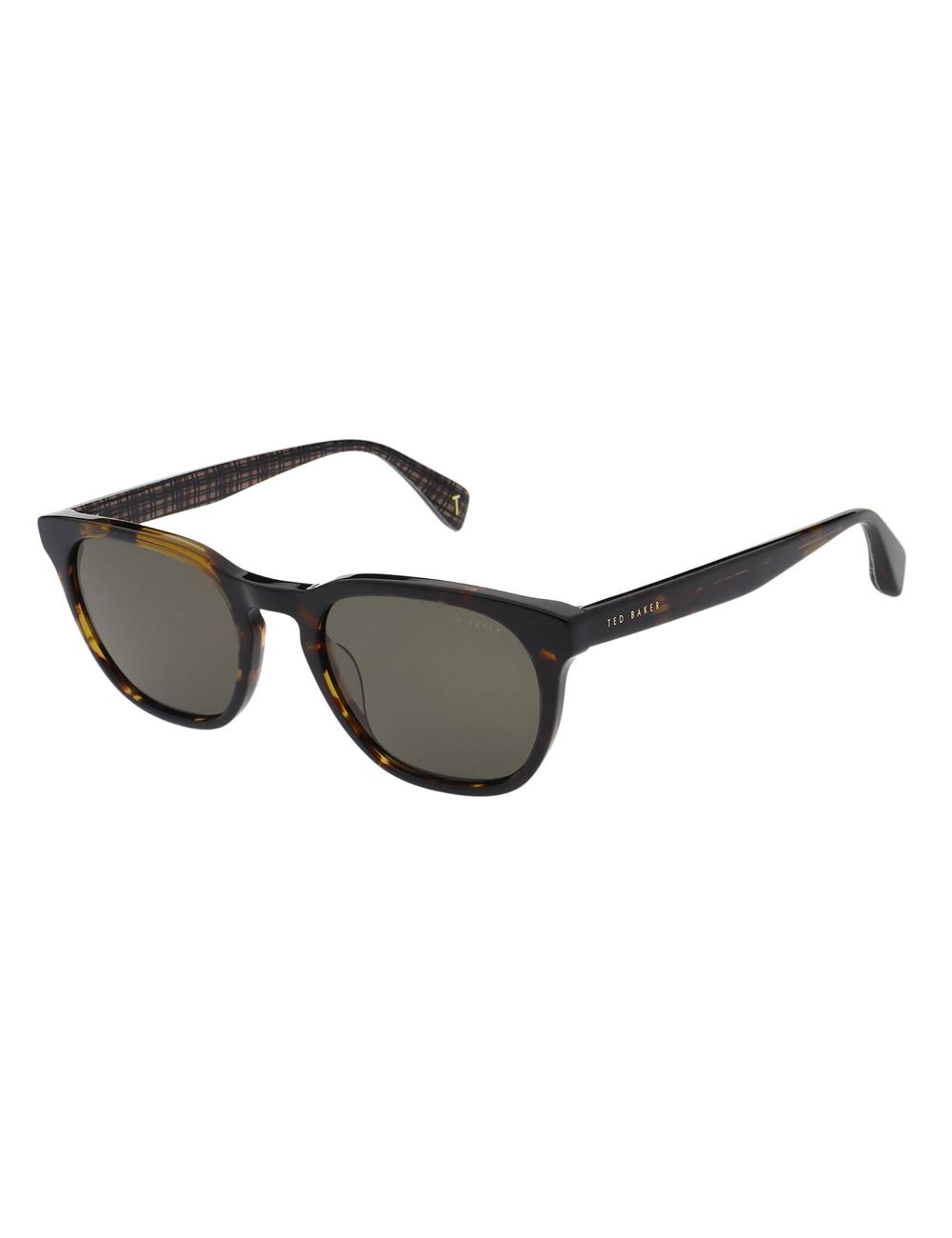 Tort Men Ted Baker SORLEY - Classic Rounded Eye Sunglasses | SA  BGJ-842973